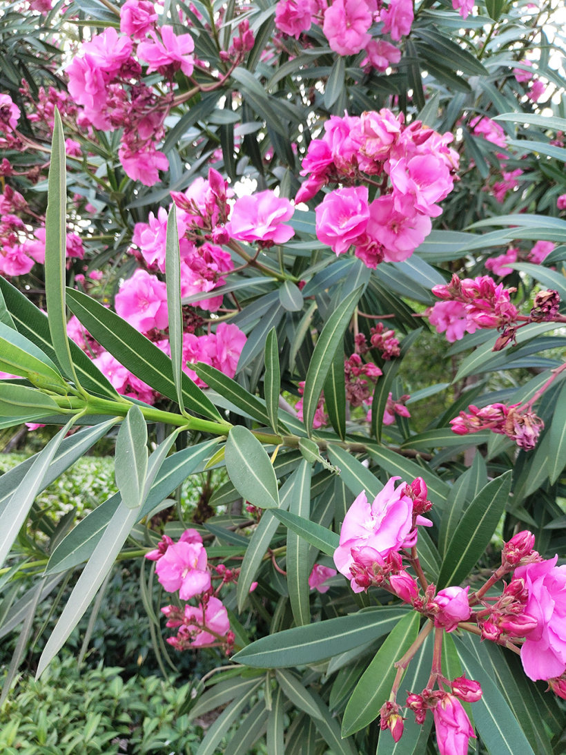 在喧嚣的城市,寻找消逝的那份宁静! 在喧嚣的城市,寻找消逝的那份宁静!