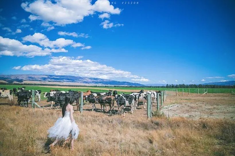 摄影师养成全攻略之Pose和表情 摄影师养成全攻略之Pose和表情