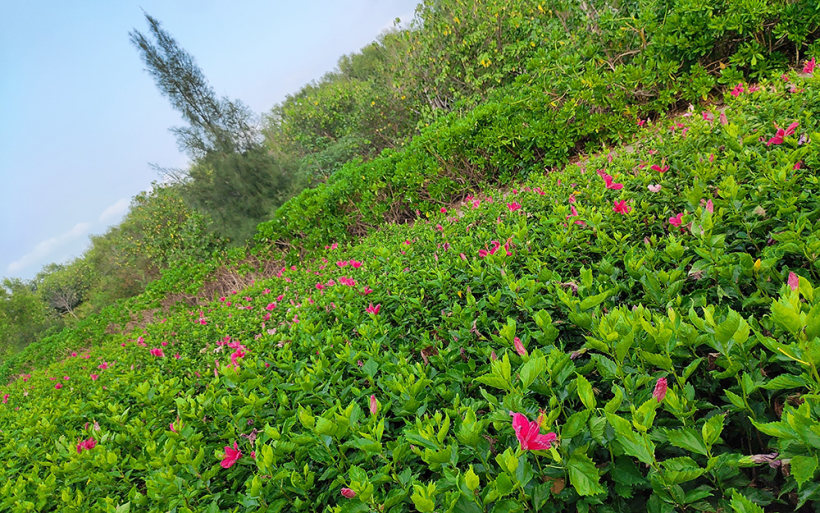 在喧嚣的城市,寻找消逝的那份宁静! 在喧嚣的城市,寻找消逝的那份宁静!