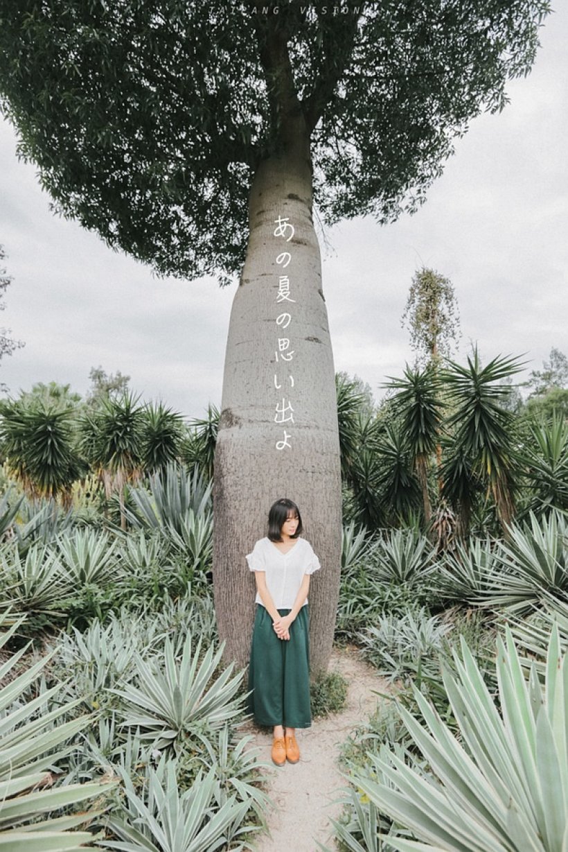 摄影师养成全攻略之摄影技巧篇