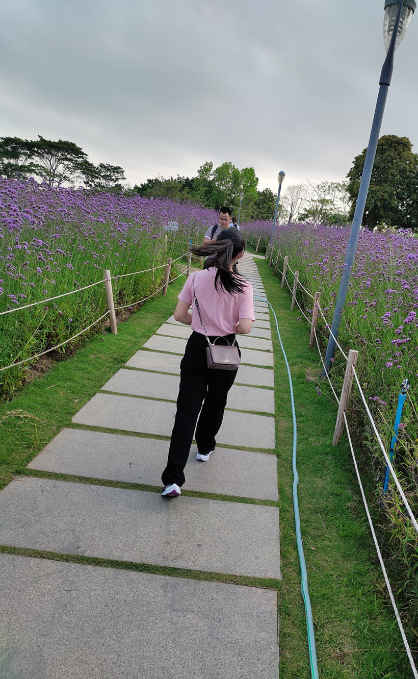 在喧嚣的城市,寻找消逝的那份宁静! 在喧嚣的城市,寻找消逝的那份宁静!