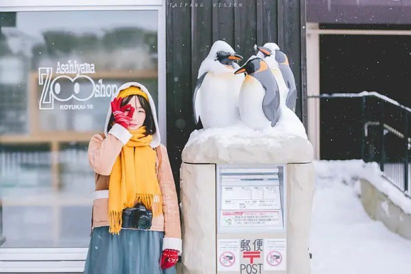 摄影师养成全攻略之Pose和表情 摄影师养成全攻略之Pose和表情