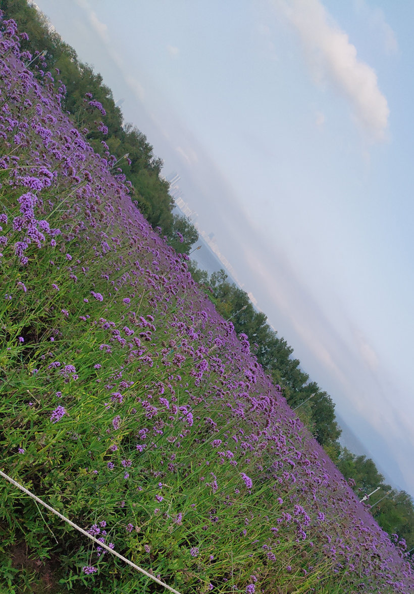 在喧嚣的城市,寻找消逝的那份宁静! 在喧嚣的城市,寻找消逝的那份宁静!