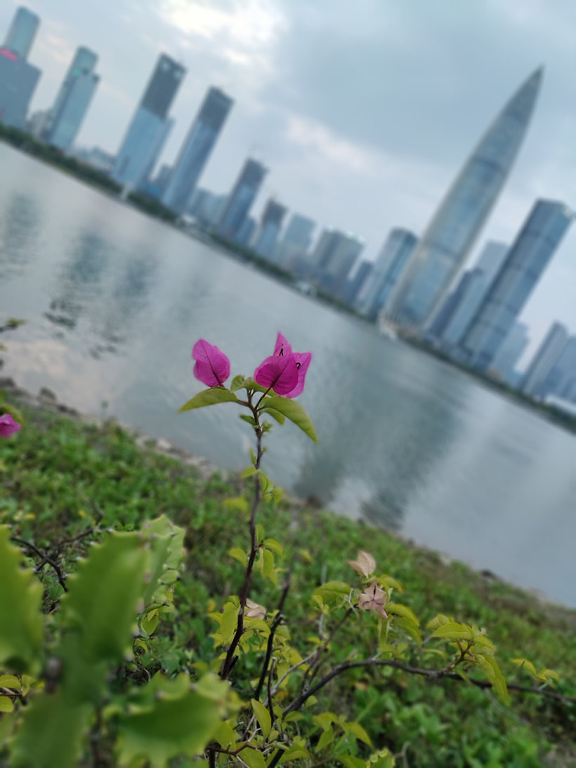 在喧嚣的城市,寻找消逝的那份宁静! 在喧嚣的城市,寻找消逝的那份宁静!