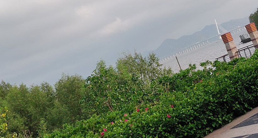 在喧嚣的城市,寻找消逝的那份宁静! 在喧嚣的城市,寻找消逝的那份宁静!