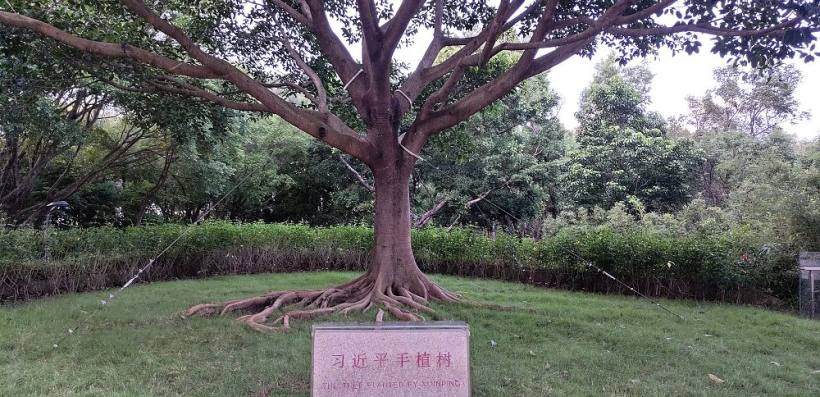 月是中秋月，人是心上人